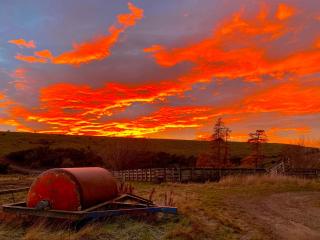Tomogalak Lodge - Lumsden - 1