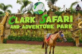Up To 13 PAX near Clark Speedway & Aqua Planet - Angeles - 6