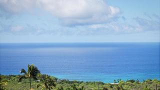 Walua Hale, By The Trail - 8