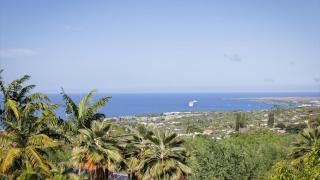 Walua Hale, By The Trail - 1