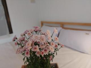 Lung Nui Dates Palm Farm - 4