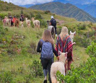 Alpaca lodge & explorations - Chinchero - 1