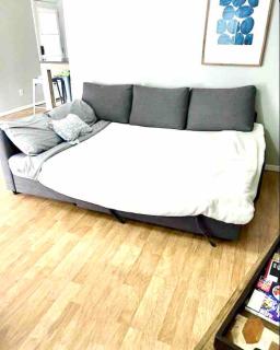 Cozy Little Home w Private Washer & Dryer! - Phoenix - 8
