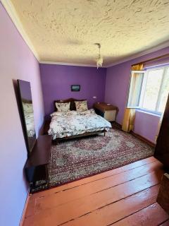 Rossi Rest House - Dilijan - 3