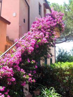 Villa San Giuseppe - Porto Azzurro - 3