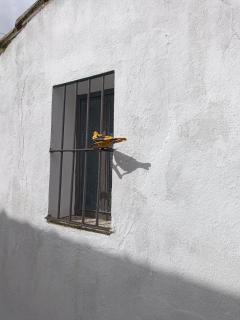 Casa Frodo - - 7