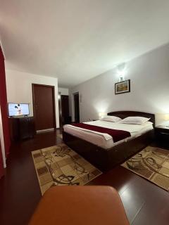 Hotel Ciric - Iaşi - 1