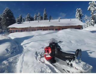Roseland Cottage, Gulmarg - Gulmarg - 8