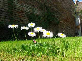 Relax House Slavka - 2