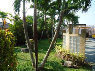 Lonops Gay Paradise - 1