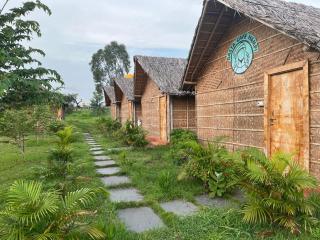 Hampi Rasta Cafe - New Hampi - 5