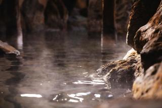 Ibusukionsen Hotel Shougetu - 8