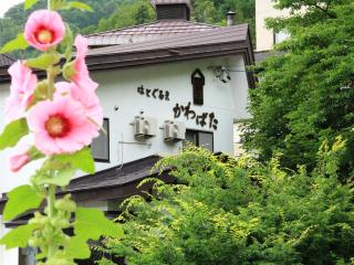 Hatoguruma Kawabata - Nozawa Onsen - 8