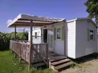 Mobile home proche Europapark et rulantica proche allemagne - Boofzheim - 9
