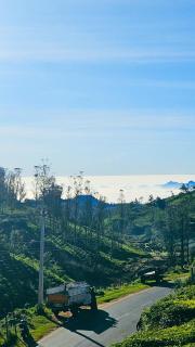 CASSPO-Aurora in Ooty - Ooty - 6