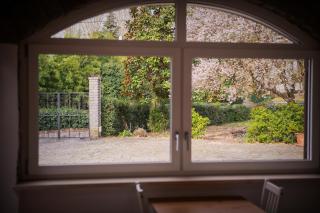B&B Il Fiore nel Bosco - Orte - 6