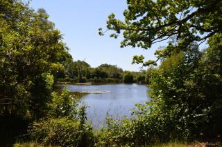 East Lodge - Bolney - 1