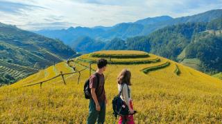 Indigenous homestay- Trek- Food- Bus - 6