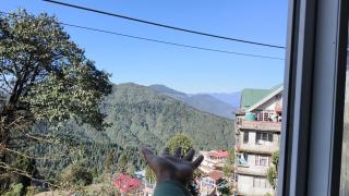 Destination Darjeeling a sweet home stay - Darjeeling - 5
