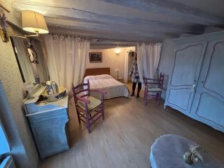 Toue de Loire - Chaumont-sur-Loire - 3