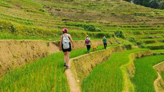 Indigenous homestay - Trek & Local Life - 6