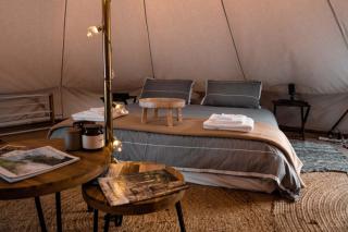 Stargazers Forest Hideaway - - 4