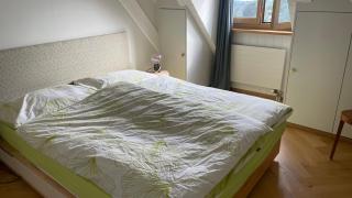 Attic Apartement - Penthouse 2 Bedrooms - Crissier - 8