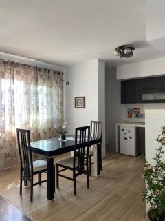 MAin Apartment - Tirana - 2