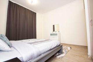 Newly furnished brand new 1BHK in Al Warsan - 6