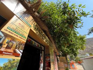 Hotel Green Heaven Resort - Pushkar - 4
