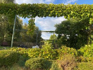 Flaeming Camping - 1