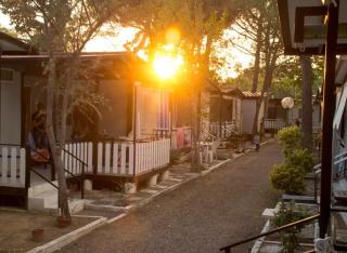 Villaggio Mondial Camping - Metaponto - 7