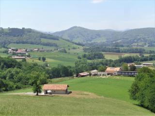 Barrandeia - Juxue - 3