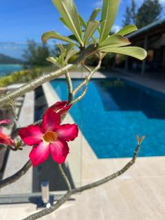Village des Iles - Praslin - 6