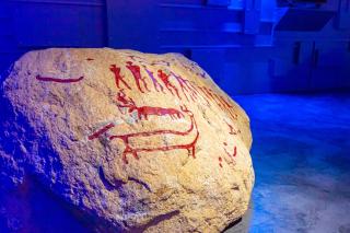 Noclegi JuraPark Krasiejów - 1