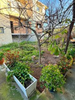 Rena Country Apartment - Daratso - 4