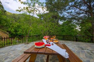 Amazing Villa in Pano Platres Cyprus - Kato Platres - 9