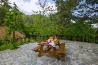 Amazing Villa in Pano Platres Cyprus - Kato Platres - 6