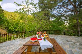 Amazing Villa in Pano Platres Cyprus - Kato Platres - 2