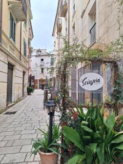 Casa Napoleone - Sora - 6