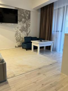 Best Value Studio Primavara, Free Parking - Bukarest - 6