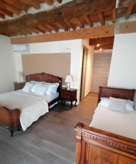 B&B La Bella Lucca - Lucca - 2