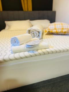 Rooms & Apartment ZALA Airport shuttle option - Cerklje na Gorenjskem - 8