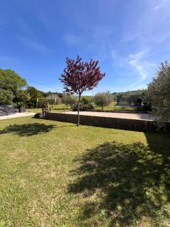 Provencal villa with pool - Cavillargues - 2
