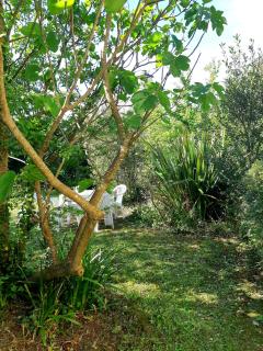 Calmos Cottage - Barneville-Carteret - 6