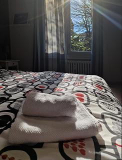 Casa Arancia - Milan - 9
