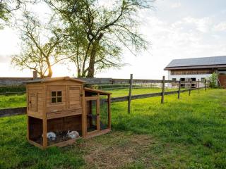 Ferienhof Steinberger - 8