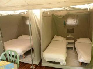 Camping 3 étoiles - Piscine - cbgcai0 - Buis-les-Baronnies - 3