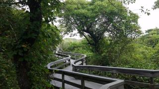 LoveFINS - 3