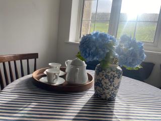 Garden Flat in West Lulworth - West Lulworth - 6